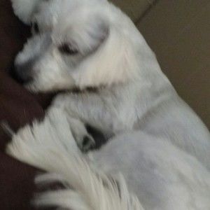 Meet your Posher, Maria