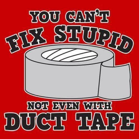 Meet your Posher, Josh - Picture 1 of 1