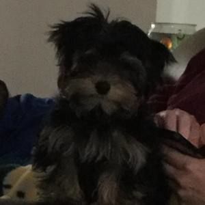 Meet your Posher, Jillian