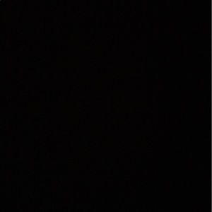 Meet your Posher, Riley