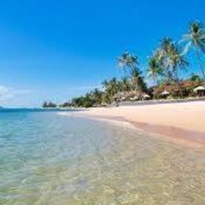 Meet your Posher, Sandy