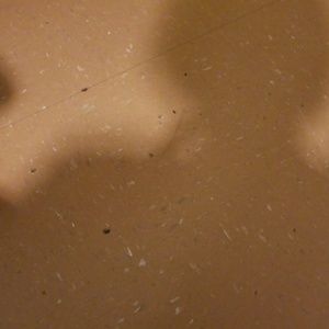 Meet your Posher, Araceli