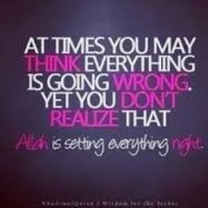 Meet your Posher, Halima