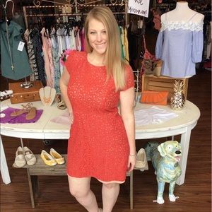 Ann Taylor Loft Dress size 12