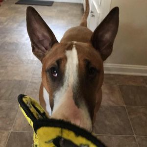 Meet your Posher, Stacey