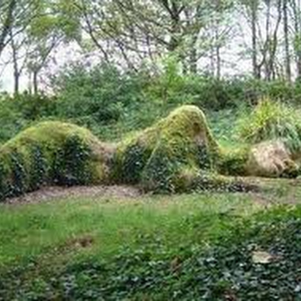 Meet your Posher, M.