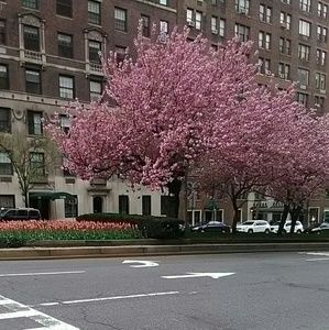 Meet your Posher, Sabrina