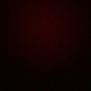 Meet your Posher, Evelyn