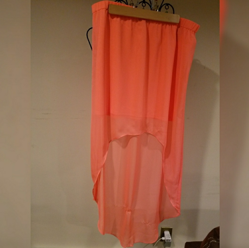 EXPRESS Sheer Skirt