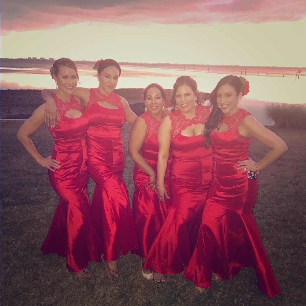 Beautiful Prom or Bridesmates dress