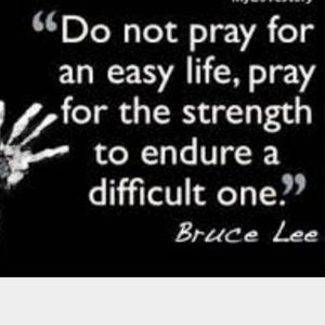 Meet your Posher, Laerica