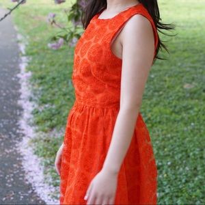 Zara red fantasy lace dress small nwt