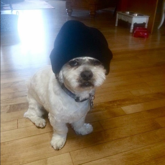 Meet your Posher, Elizabeth - Picture 2 of 3