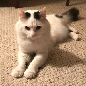 Meet your Posher, Cindy