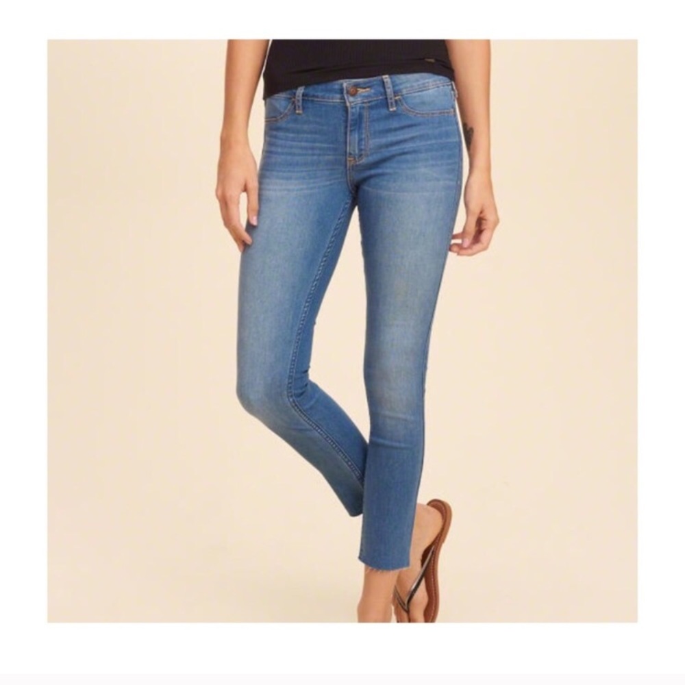 NEW HOLLISTER 3R CROPPED