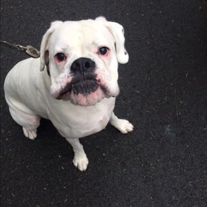 Meet your Posher, Chris