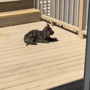 Meet your Posher, Marisa