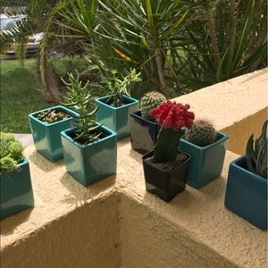 Meet your Posher, Alisha