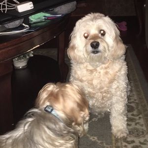 Meet your Posher, Sara