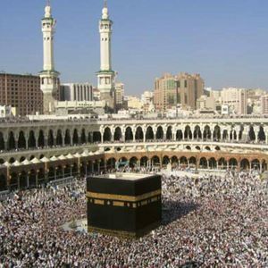 Meet your Posher, Abdul