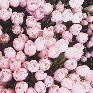 Meet your Posher, Meghan