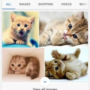 Meet your Posher, Christie