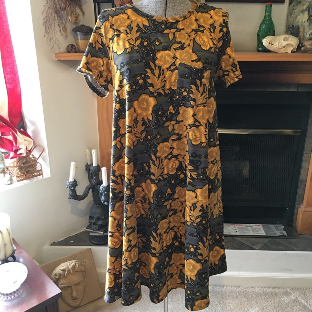 LuLaRoe Carly Tshirt Dress XS