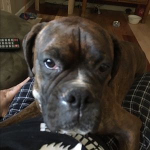 Meet your Posher, Stephen