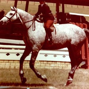 Meet your Posher, Mandy