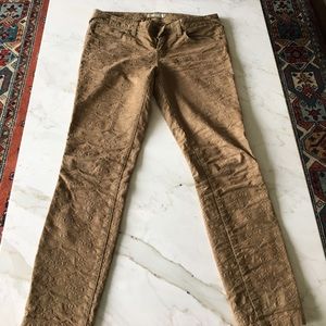 Free people pants