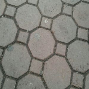 Meet your Posher, Kyree