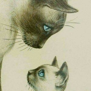 Meet your Posher, Aiden