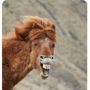 Meet your Posher, Beatrice