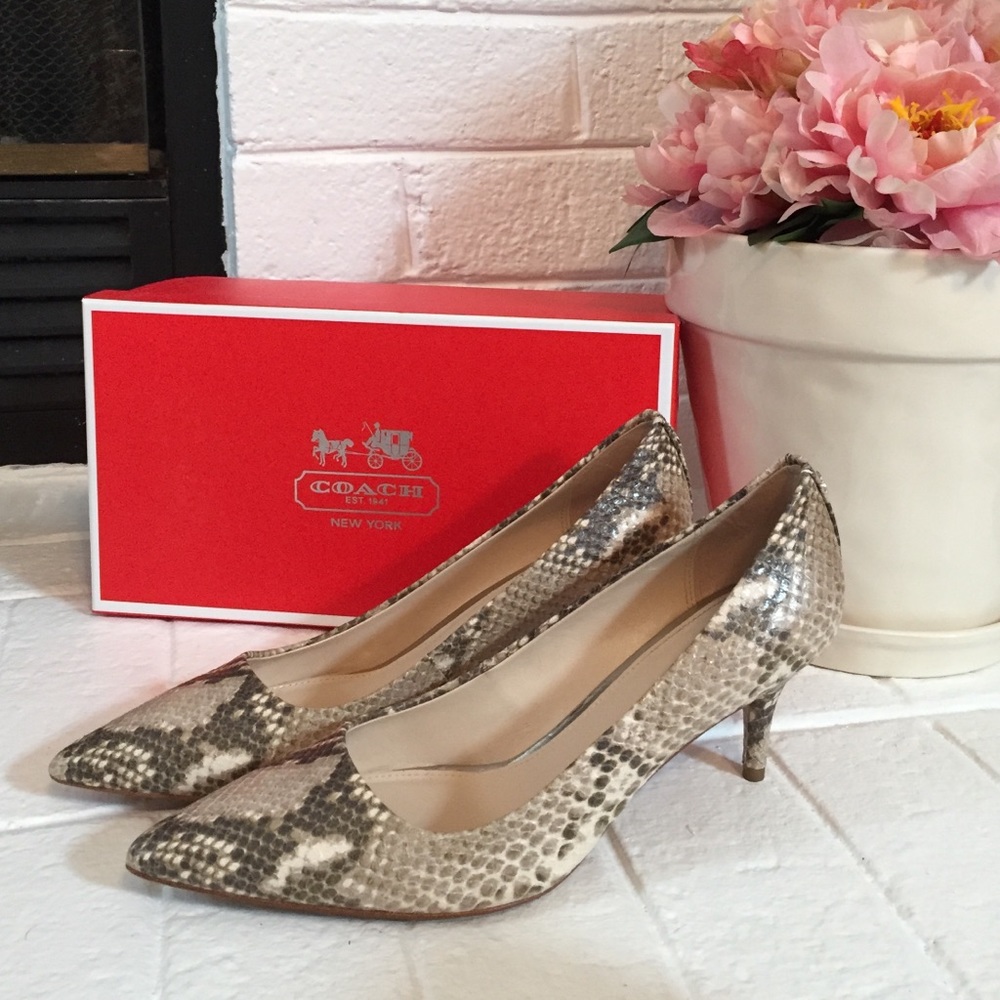 Coach Snake Skin Heels (sz 8)