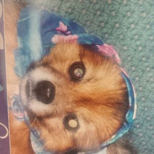 Meet your Posher, Michaelyn