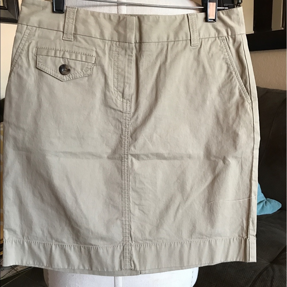 Ann Taylor Skirt