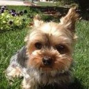 Meet your Posher, Hanna