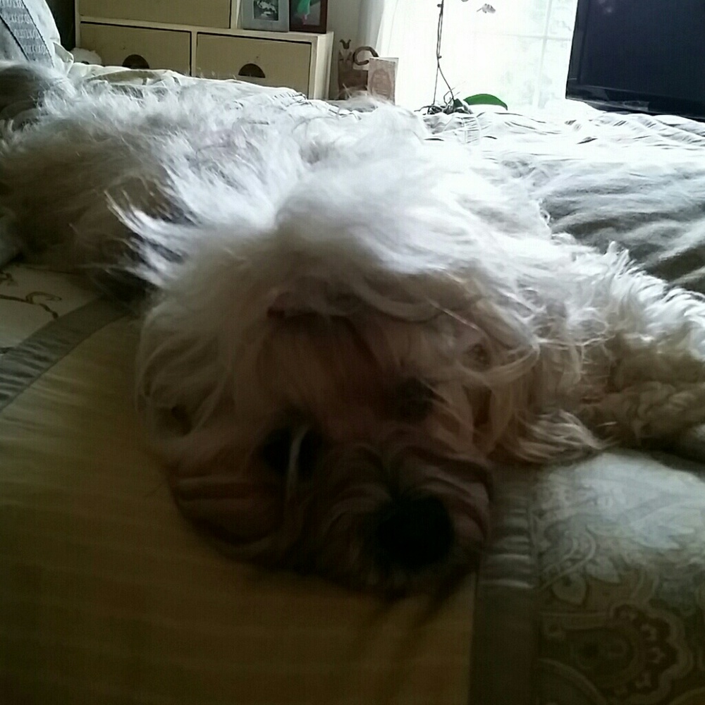 Meet your Posher, Cathy