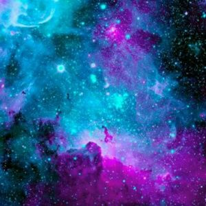 Meet your Posher, Mattie