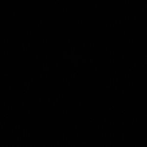 Meet your Posher, Callie