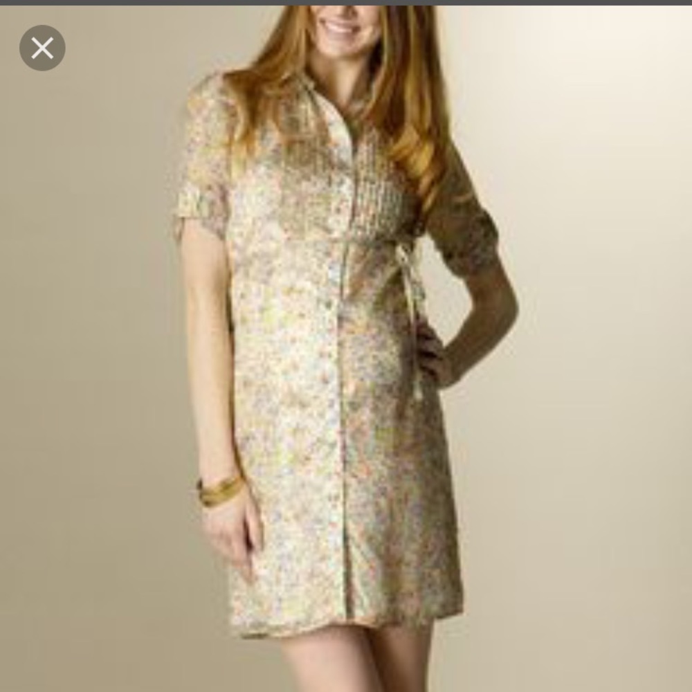Rosie Pope maternity dress