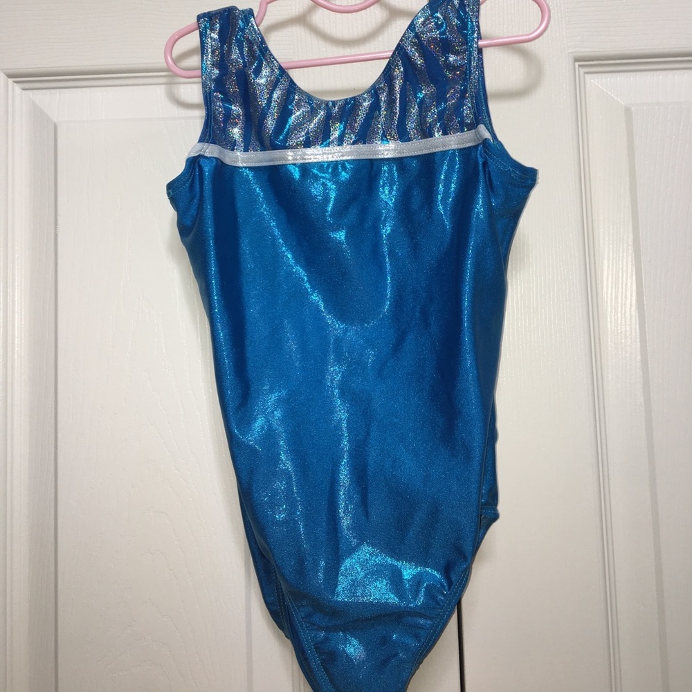 Blue Destira Leotard