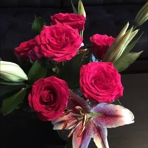 Meet your Posher, Gabby