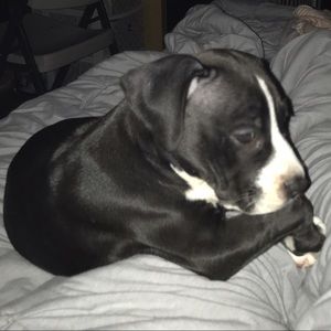 Meet your Posher, Jane