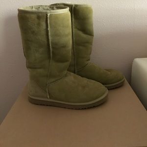 Ugg Classic Tall in Sage