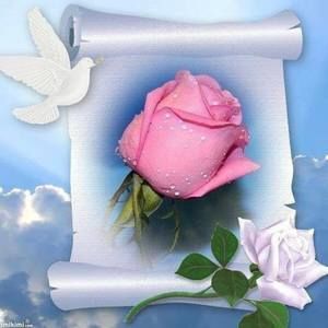 Meet your Posher, Ana