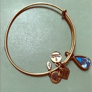 Alex and Ani Living Water Charm
