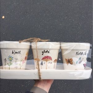 Rae Dunn Planters