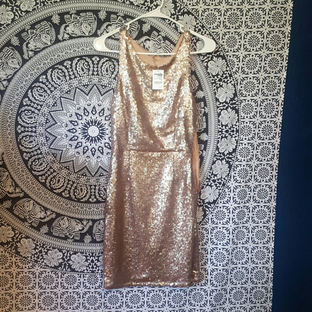 Nwt sequined champagne dress