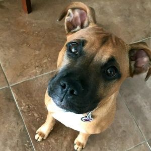 Meet your Posher, Anna